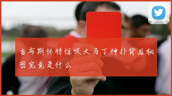 吉布斯怀特惊叹大马丁神扑背后秘密究竟是什么