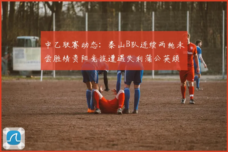 中乙联赛动态：泰山B队连续两轮未尝胜绩贵阳竞技遭遇失利蒲公英顽强战平